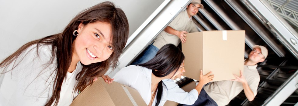 Professional Removalists Ashby Heights